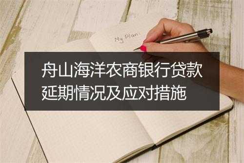 舟山海洋农商银行贷款延期情况及应对措施
