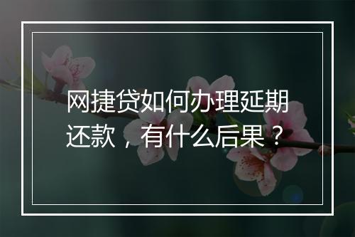 网捷贷如何办理延期还款，有什么后果？