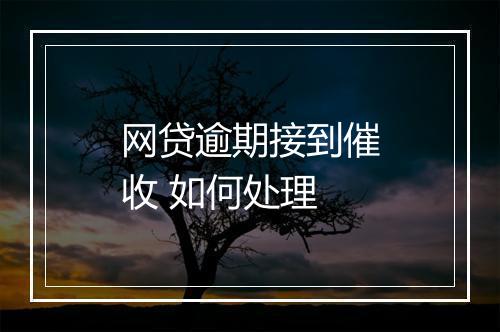 网贷逾期接到催收 如何处理