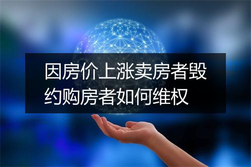 因房价上涨卖房者毁约购房者如何维权