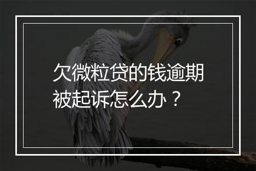 欠微粒贷的钱逾期被起诉怎么办？
