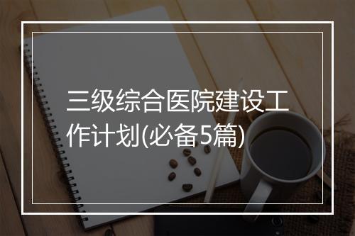 三级综合医院建设工作计划(必备5篇)