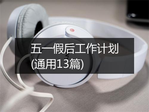 五一假后工作计划(通用13篇)