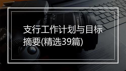 支行工作计划与目标摘要(精选39篇)