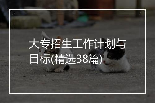 大专招生工作计划与目标(精选38篇)
