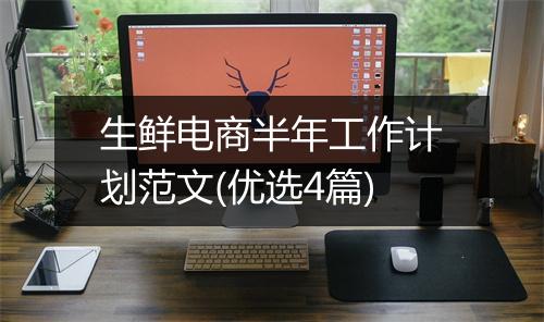 生鲜电商半年工作计划范文(优选4篇)