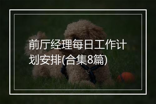 前厅经理每日工作计划安排(合集8篇)