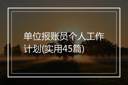 单位报账员个人工作计划(实用45篇)