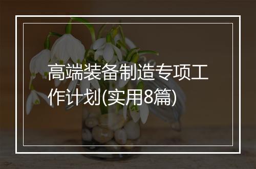 高端装备制造专项工作计划(实用8篇)