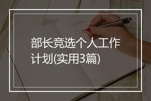 部长竞选个人工作计划(实用3篇)