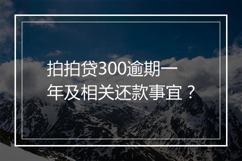 拍拍贷300逾期一年及相关还款事宜？