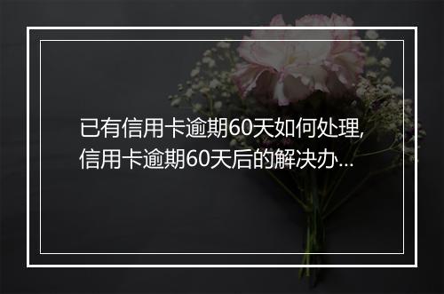 已有信用卡逾期60天如何处理,信用卡逾期60天后的解决办法