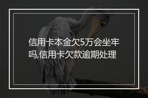 信用卡本金欠5万会坐牢吗,信用卡欠款逾期处理