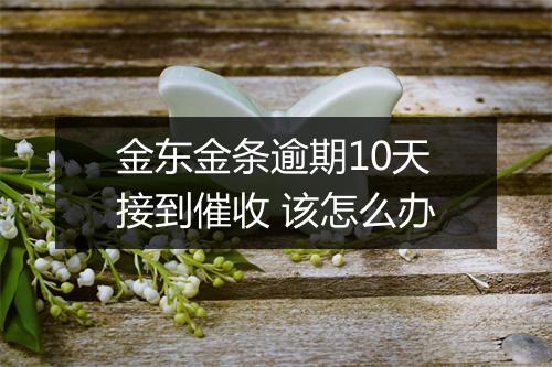 金东金条逾期10天接到催收 该怎么办
