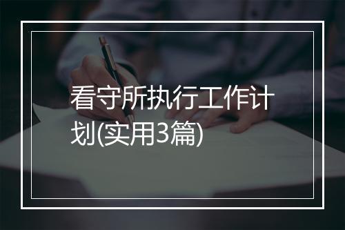 看守所执行工作计划(实用3篇)
