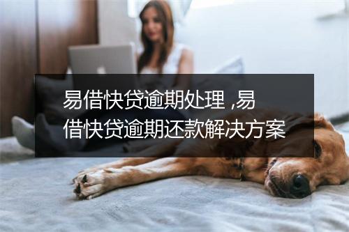 易借快贷逾期处理 ,易借快贷逾期还款解决方案