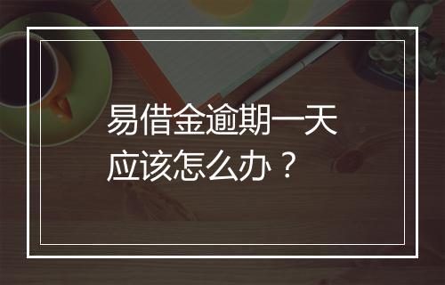易借金逾期一天应该怎么办？
