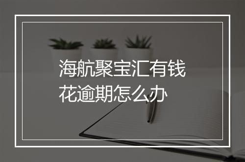 海航聚宝汇有钱花逾期怎么办