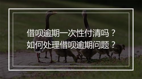 借呗逾期一次性付清吗？如何处理借呗逾期问题？