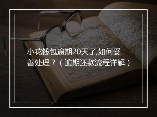 小花钱包逾期20天了,如何妥善处理？（逾期还款流程详解）