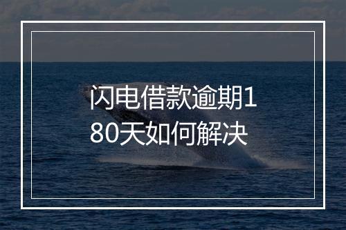 闪电借款逾期180天如何解决