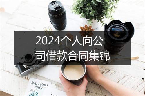 2024个人向公司借款合同集锦