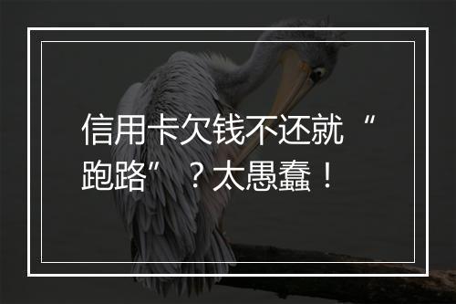 信用卡欠钱不还就“跑路”？太愚蠢！