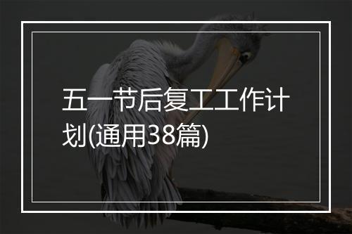 五一节后复工工作计划(通用38篇)