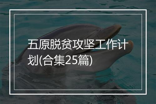 五原脱贫攻坚工作计划(合集25篇)
