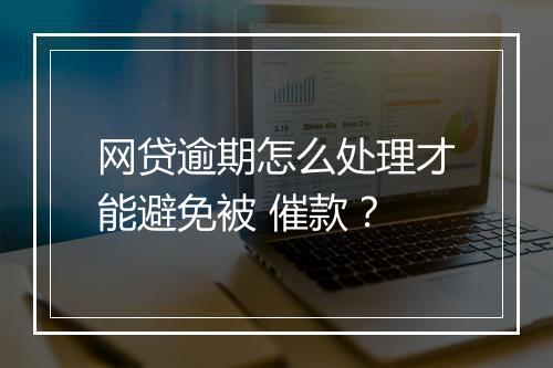 网贷逾期怎么处理才能避免被 催款？