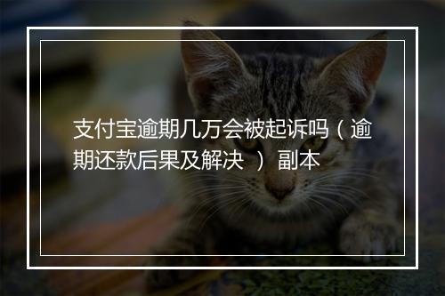 支付宝逾期几万会被起诉吗（逾期还款后果及解决 ） 副本