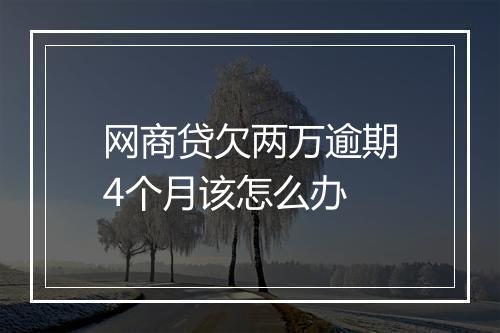 网商贷欠两万逾期4个月该怎么办