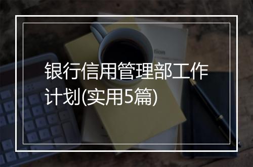 银行信用管理部工作计划(实用5篇)