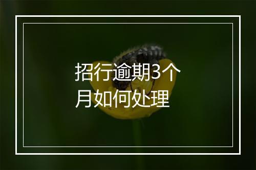 招行逾期3个月如何处理