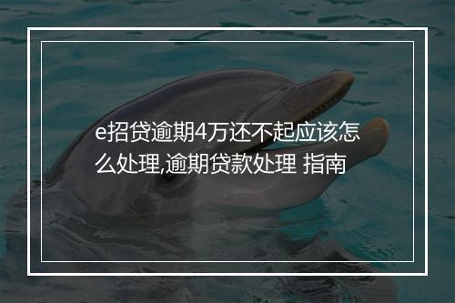 e招贷逾期4万还不起应该怎么处理,逾期贷款处理 指南