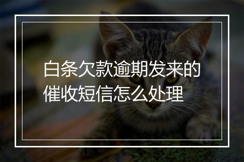 白条欠款逾期发来的催收短信怎么处理
