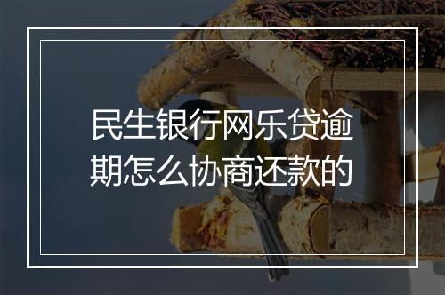 民生银行网乐贷逾期怎么协商还款的