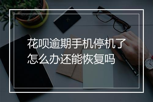 花呗逾期手机停机了怎么办还能恢复吗