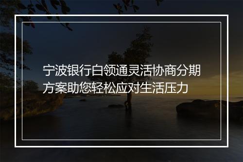 宁波银行白领通灵活协商分期方案助您轻松应对生活压力