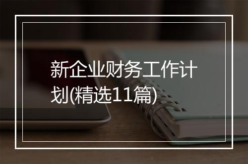 新企业财务工作计划(精选11篇)