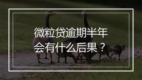 微粒贷逾期半年会有什么后果？