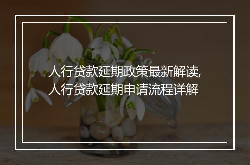 人行贷款延期政策最新解读,人行贷款延期申请流程详解