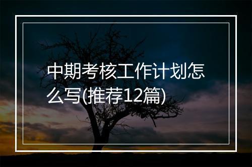 中期考核工作计划怎么写(推荐12篇)