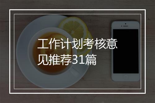 工作计划考核意见推荐31篇