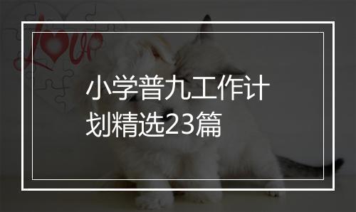 小学普九工作计划精选23篇