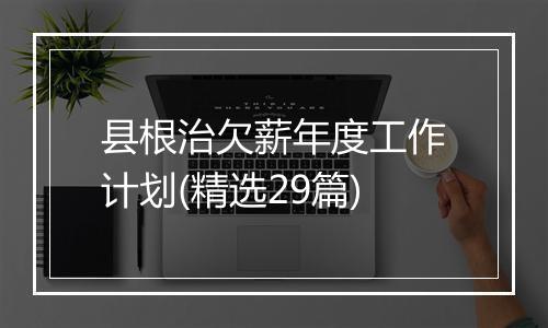 县根治欠薪年度工作计划(精选29篇)
