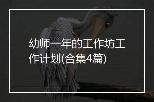 幼师一年的工作坊工作计划(合集4篇)