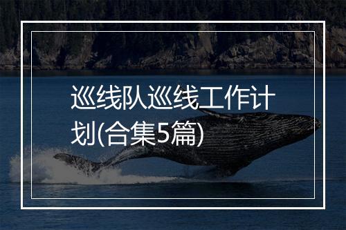 巡线队巡线工作计划(合集5篇)