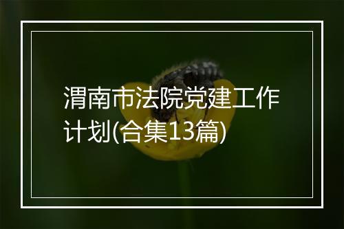 渭南市法院党建工作计划(合集13篇)