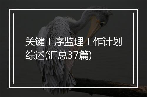 关键工序监理工作计划综述(汇总37篇)